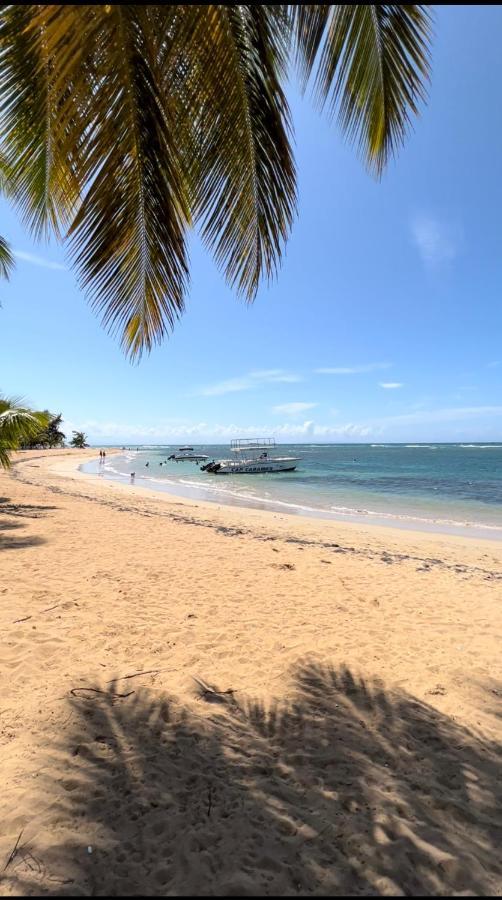 Lovely Beachfront 2 Bedrooms Condo With 2 Pools ラス・テレナス エクステリア 写真
